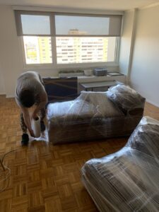 California to Boston Movers